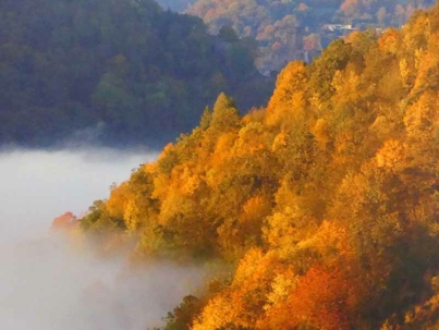 Bildmotiv Wohnbereich Natur
