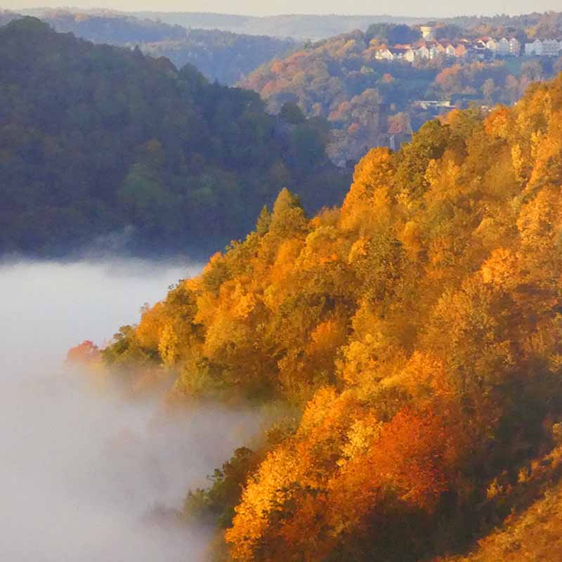 Bildmotiv Wohnbereich Natur
